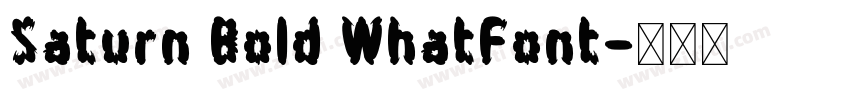 Saturn Bold WhatFont字体转换